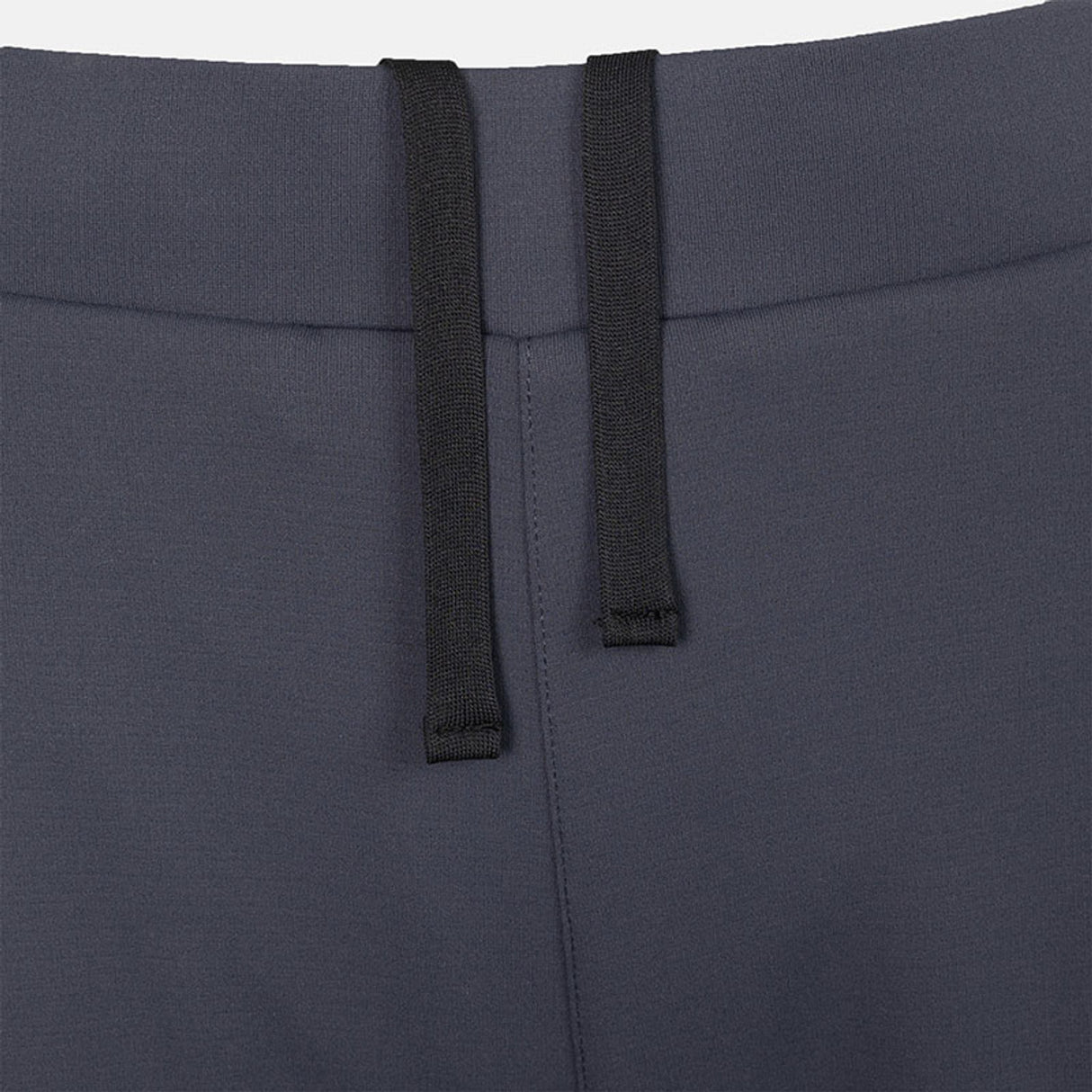 JDH W Performance Pant Ink